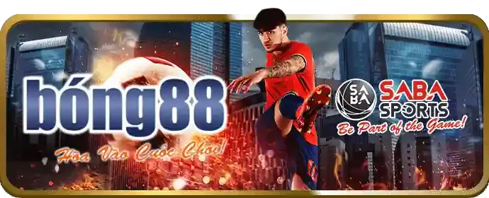 Đá gà Mỹ trum88